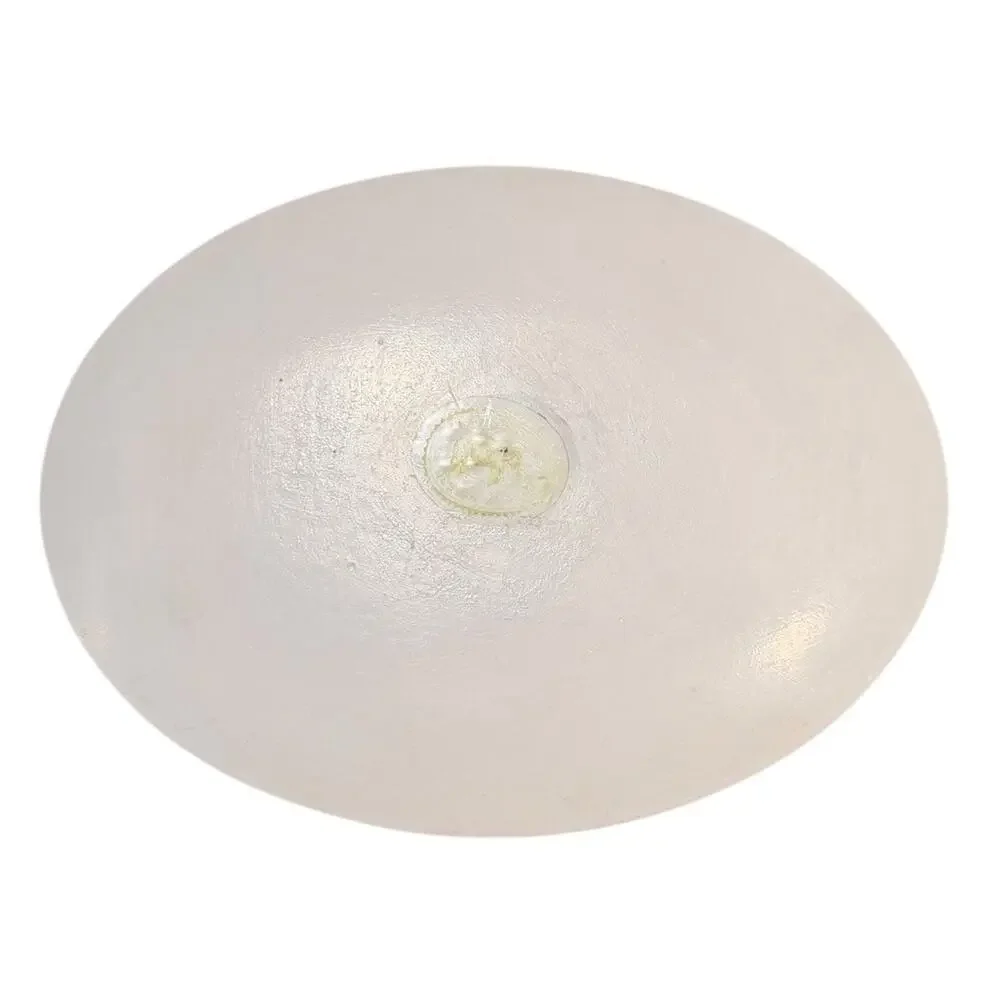 Michel Design Works “Beach” Glass Oval Soap Dish Island Caribbean Palm Trees